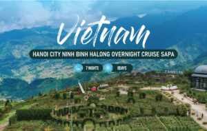 Charming Vietnam: 7 Nights & 8 Days of Culture, History, and Natural Beauty