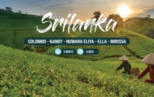 Explore Colombo, Kandy , Nuwara Eliya, Ella & Mirissa in our 5-nights & 6-days Srilanka package. (Air Ticket)