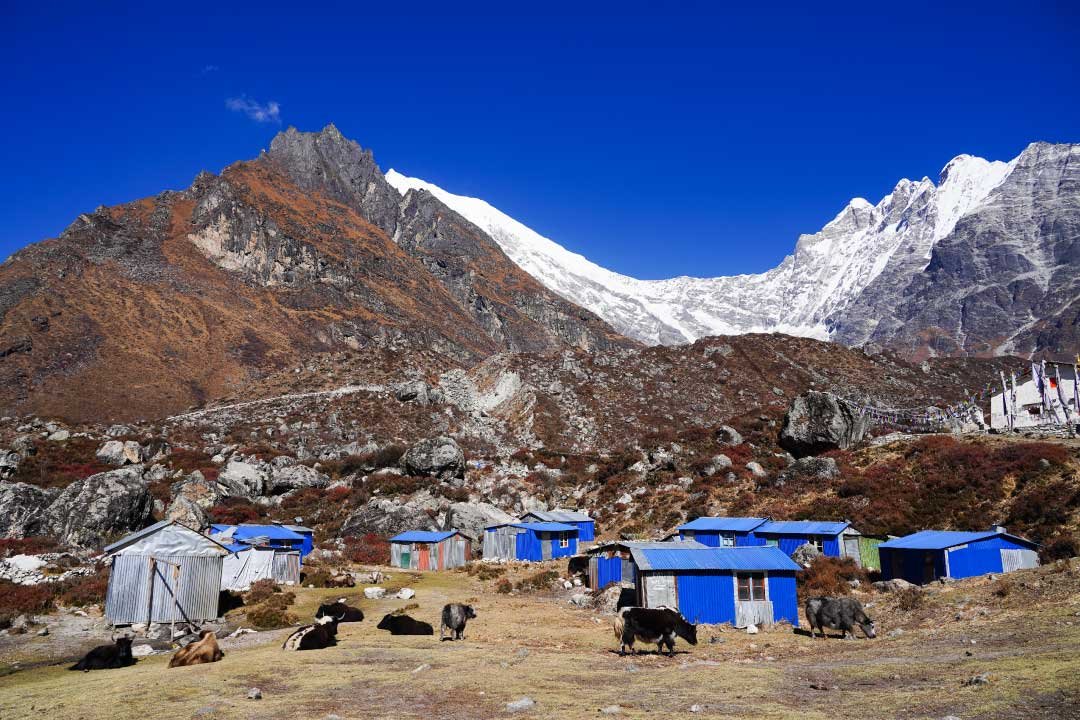 nepal-5